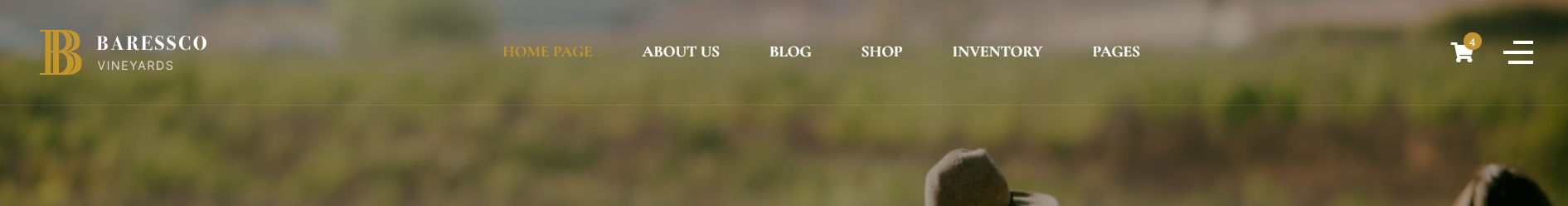 baressco-header2.png